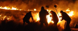 Incendios Forestales en Catamarca y Entre Ríos