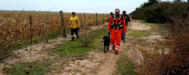 Brigada Canina realizó una búsqueda en Chaco