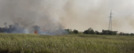 Incendios Forestales en Corrientes