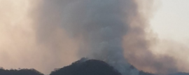 Incendios Forestales en Salta: los focos que combatieron los bomberos voluntarios fueron extinguidos