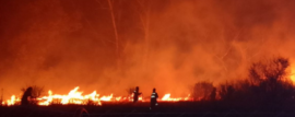 Incendios Forestales en Entre Ríos