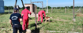 CUO: operativo de búsqueda en Chaco