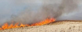 Incendios Forestales en Córdoba