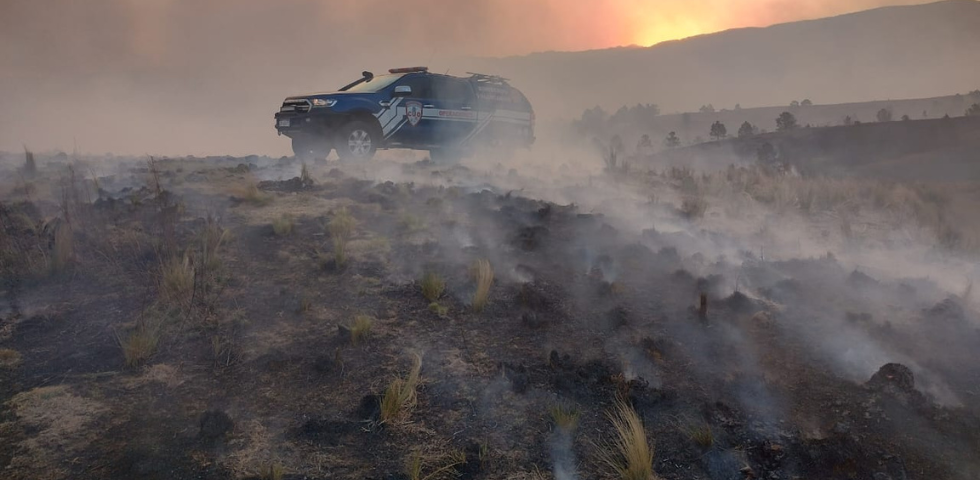 Alerta Roja: Incendios Forestales en Córdoba