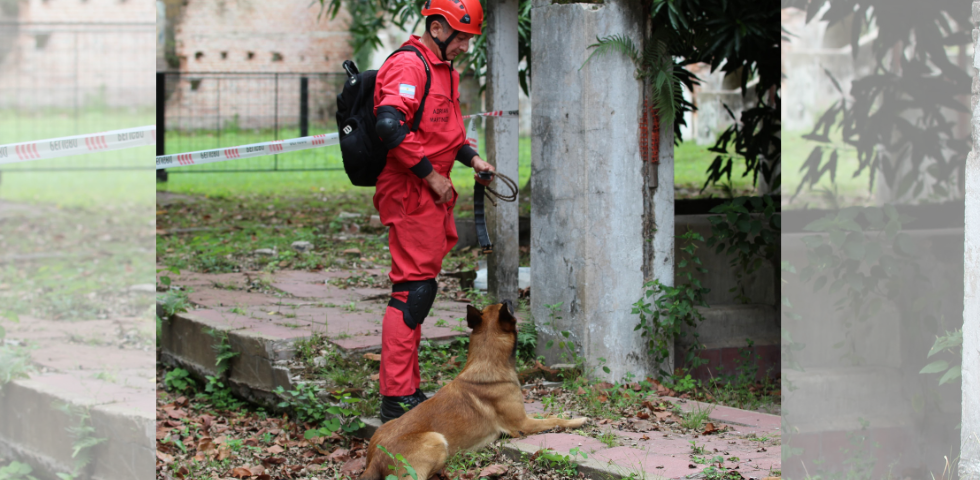 Certificación de Brigadas Caninas en Chaco