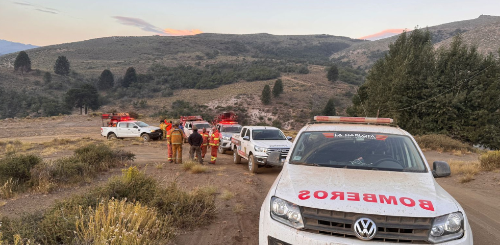 Incendios en Neuquén día 14