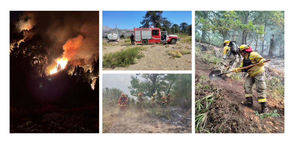 Incendios en Neuquén día 5