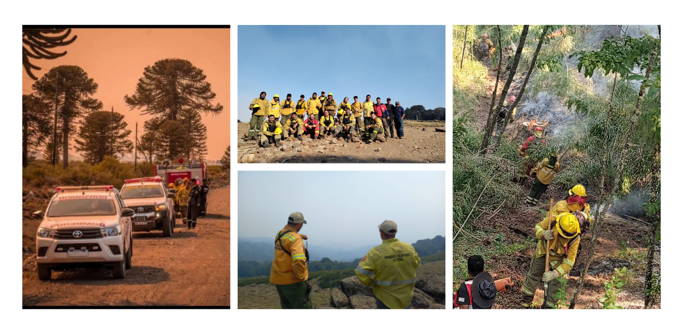 Incendios en Neuquén día 6