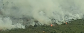 Incendios en Neuquén